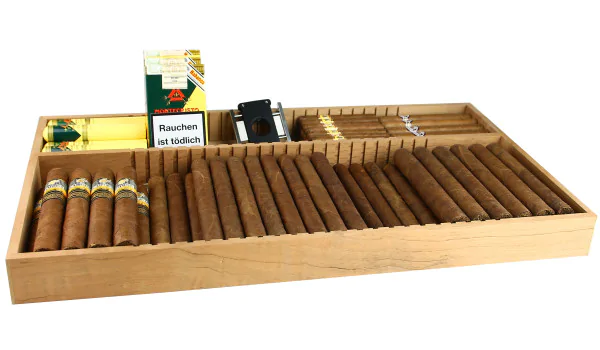 Tray for adorini Humidor cabinet Roma and Salina photo 5