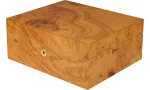 adorini Humidor Salento Oilve Burl Wood Medium Deluxe photo 15