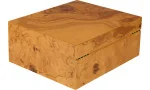 adorini Humidor Salento Oilve Burl Wood Medium Deluxe photo 17